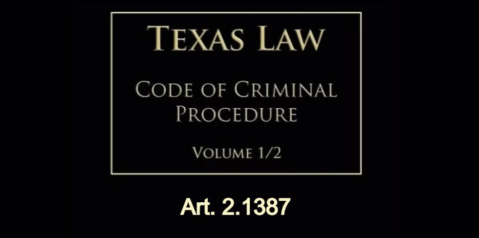 Texas Code of Criminal Procedure Art. 2.1387 — Intervention Required for Excessive Force